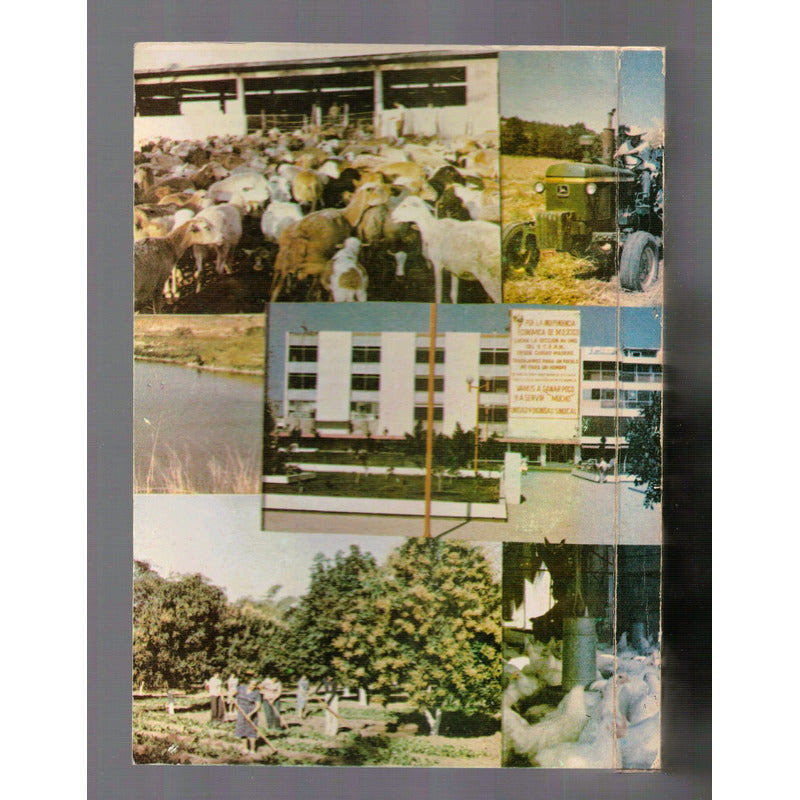 La Lucha De Un Lider Hernandez Galicia. Aguilar Briseño 1983