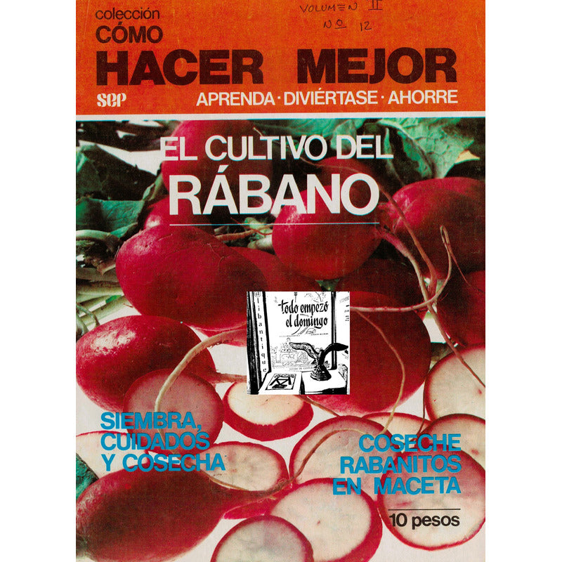 Como Hacer: Cultivo Del Rabano Y Rabanito. Cuidados, Cosecha