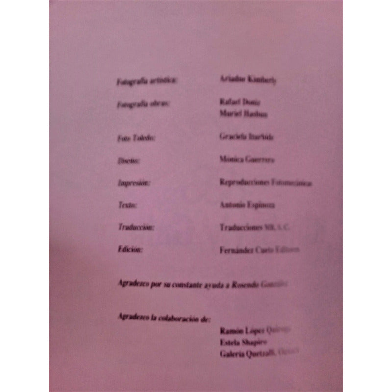 Cuatro Decadas Despues Del Muralismo. Kimberly Gallery