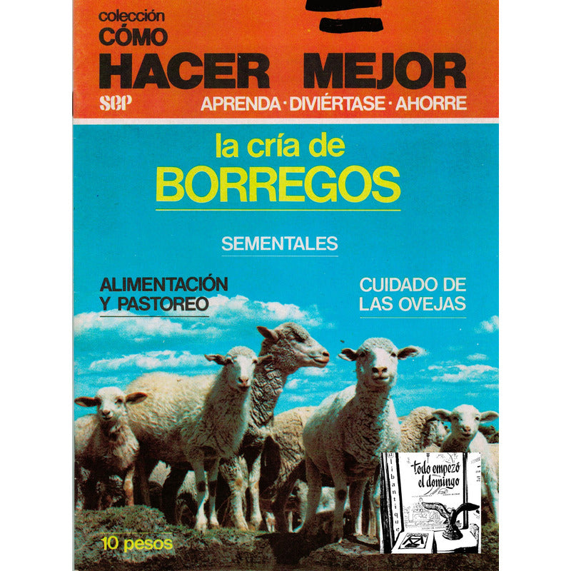 Como Hacer: Cria De Borregos. Mexico 1980