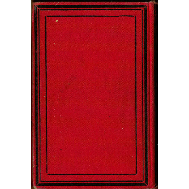 Baile Y Cochino... (fiesta De X V Años) Cuellar, Mexico 1889