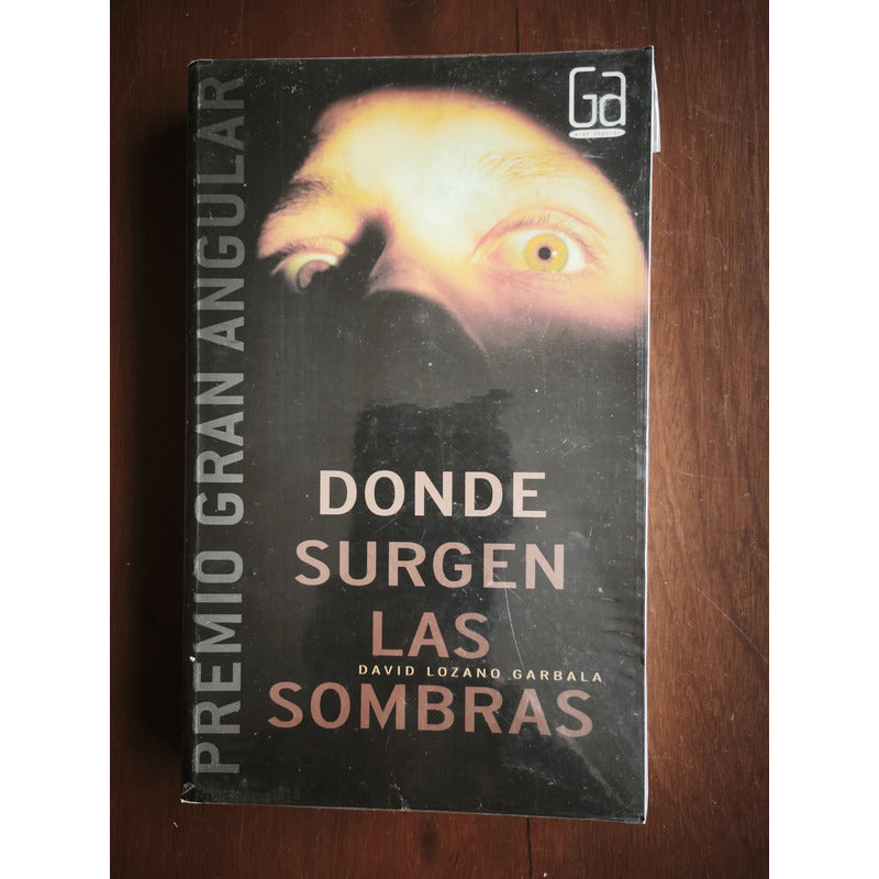 Donde Surgen Las Sombras. David Lozano Garbala, 2010
