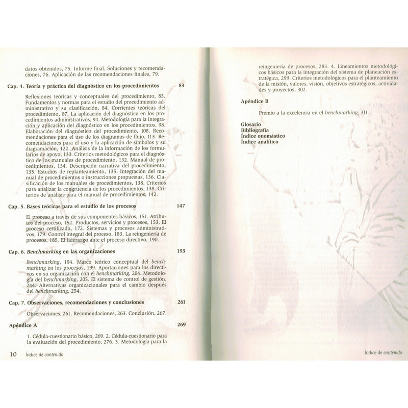 Diagnostico Administrativo. Martinez Chavez, Mexico 1999