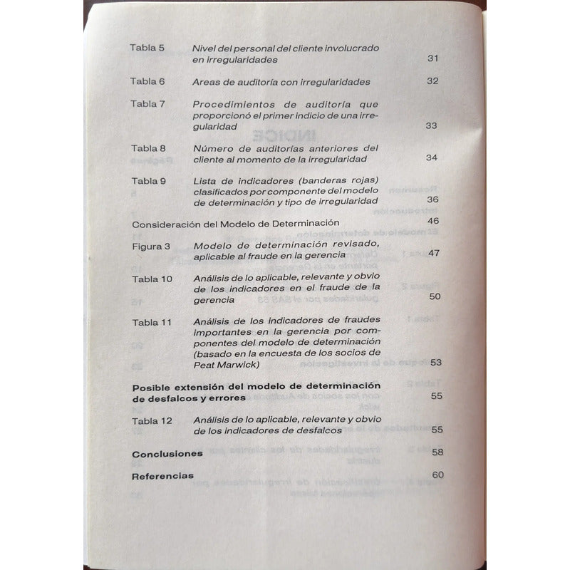 La Experiencia Del Auditor Ante Irregularidades Importantes