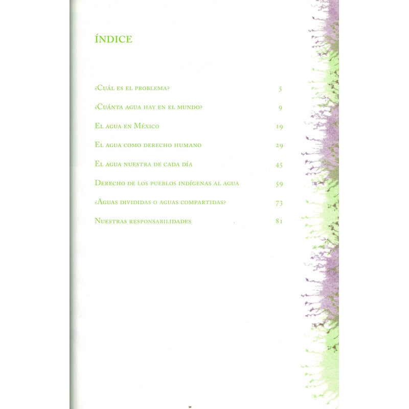 Un Mundo Sin Agua? Francisco Peña, Mexico 2008