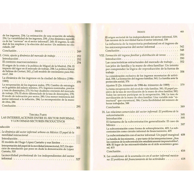 Economia Informal En Mexico. Francois Roubaud, Mexico 1995