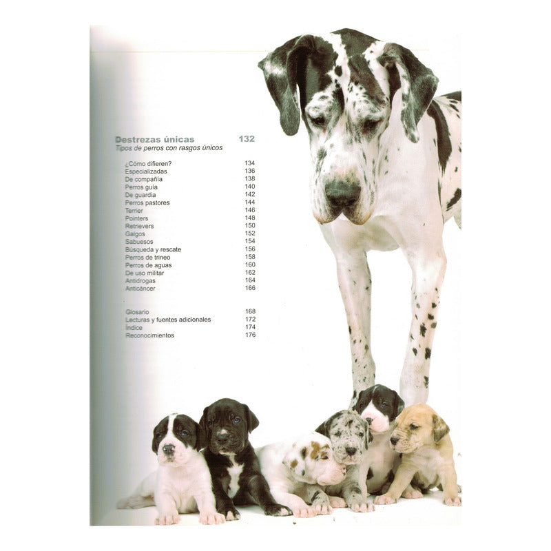 Claves Caninas. David Alderton, 2012 (guia)