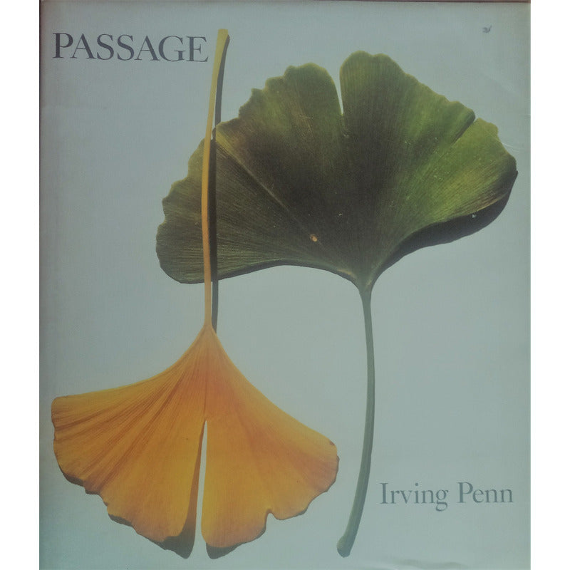 Passage A Work Record. Irving Penn, New York 1991