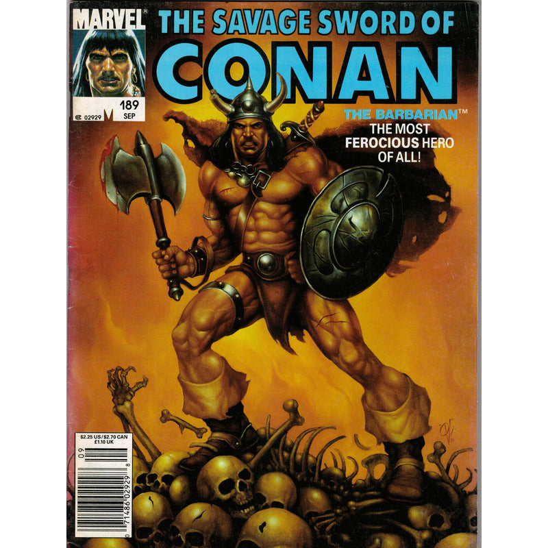 The Savage Sword Of Conan # 189. U S 1991