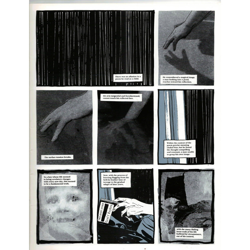 Cages # 6. David Mckean, U S 1992 (collage)