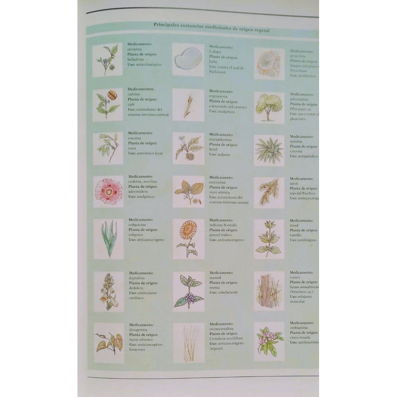 Atlas Plantas Medicinales Curativas. Ramon Fores 1997