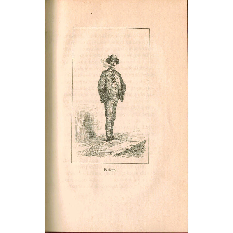 Ensalada De Pollos. Jose Tomas De Cuellar, {novela} 1890