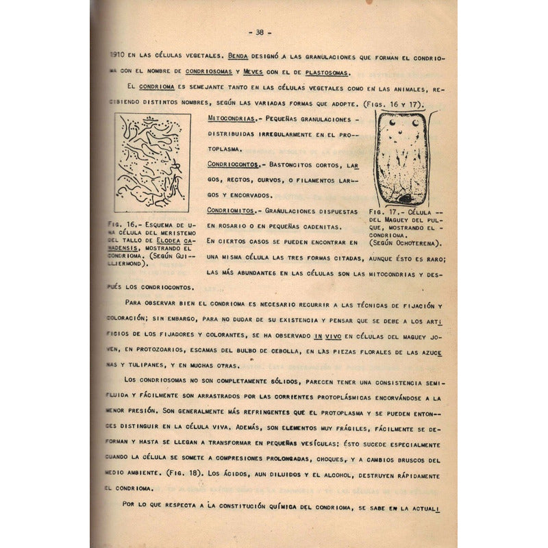 Biologia Vegetal [histologia_citologia] . Manuel Ruiz Oronoz