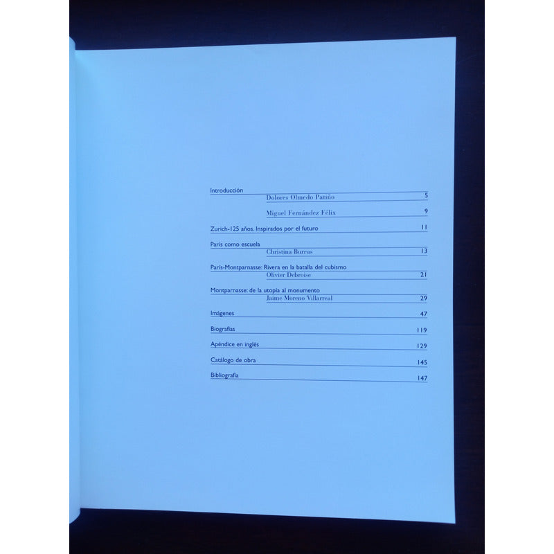 Los Contemporaneos De Diego Rivera En Montparnasse