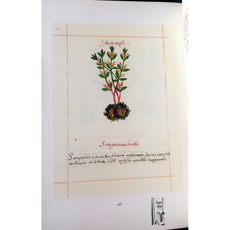 Codice De La Cruz Badiano. I M S S 1964 {herbolaria}