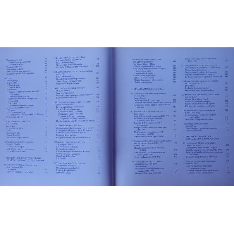 Ciudad_de Mexico_fin_del_segundo_milenio. Garza, Mexico 2000