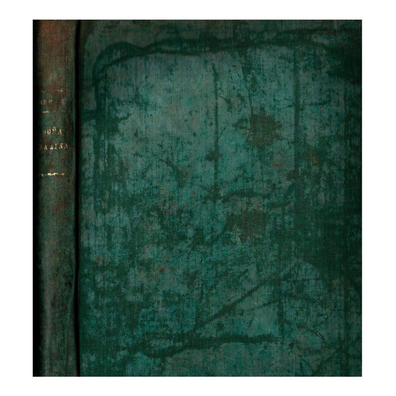 Doña Malitzin [genealogia]. Trayectoria_corrido. Mexico 1935