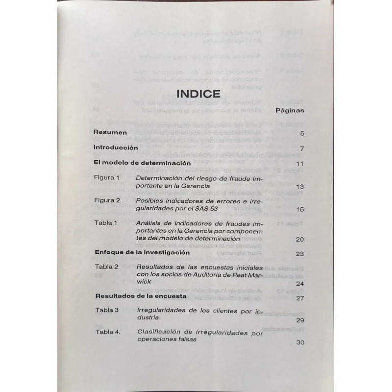 La Experiencia Del Auditor Ante Irregularidades Importantes