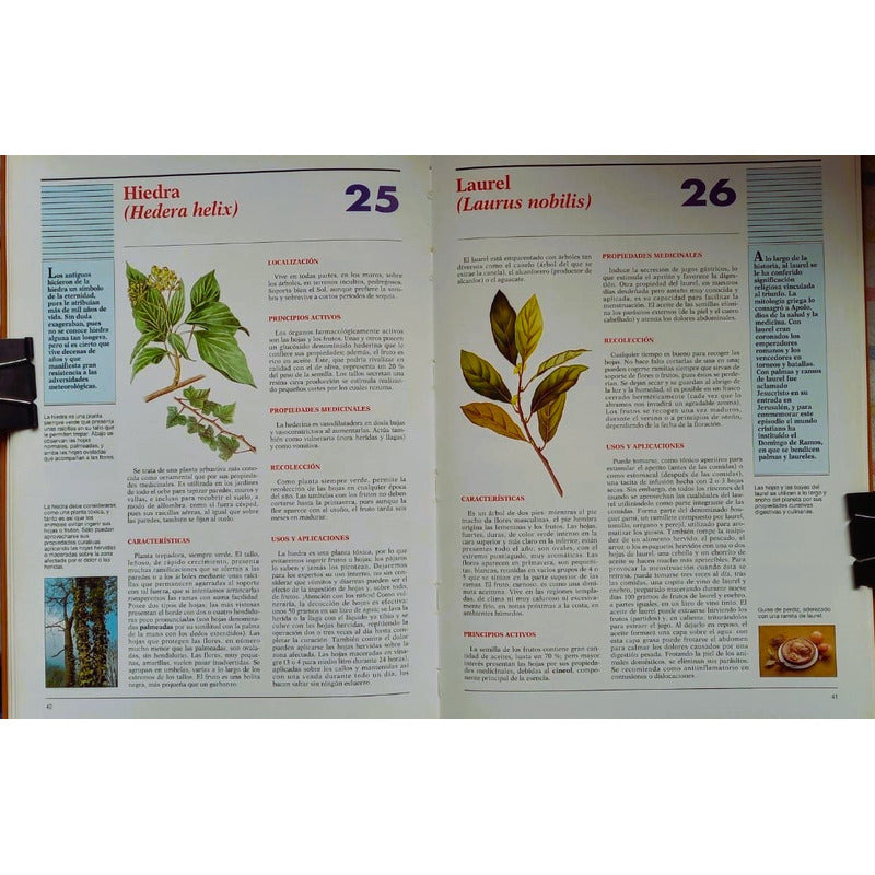 Atlas Plantas Medicinales Curativas. Ramon Fores 1997